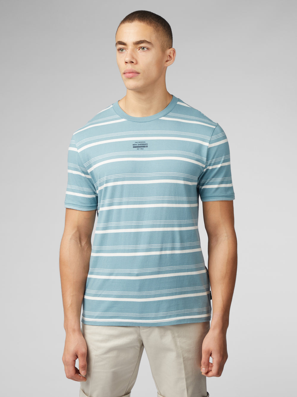 Ben Sherman Fine Stripe Tシャツ 青 | 754193-OFI